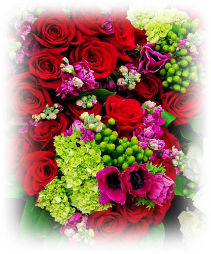 Sendik's Fine Foods (416x500), Png Download