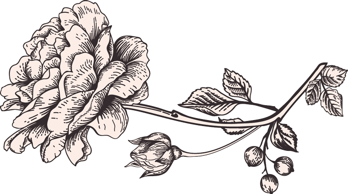 We Don't Believe In Picking Bouquets From A Book Of - Jesus Said...adult Coloring Book By Passio (700x391), Png Download