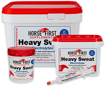 Heavy Sweat - Horse First Heavy Sweat (457x457), Png Download