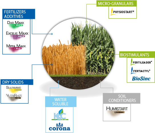 At Timac Agro Usa, We Truly Believe In Providing Our - Grass (731x560), Png Download