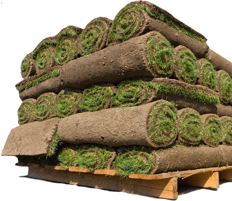 Grass Sod (800x693), Png Download