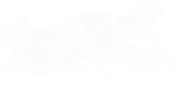 Cloud Of Smoke Photoshop (599x315), Png Download