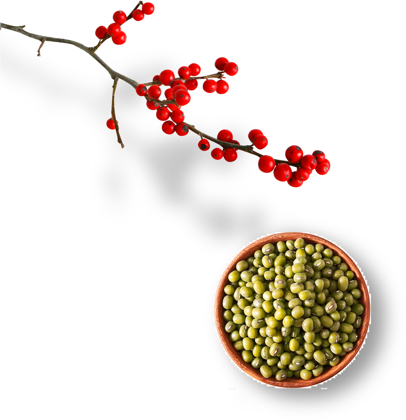 Jiva Usda Organic Whole Moong (mung) Beans 2 Pound (2000x1870), Png Download