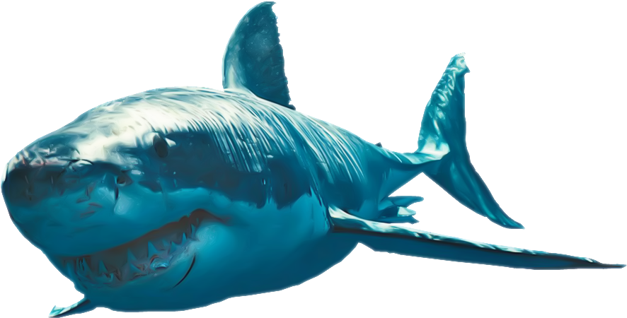 Shark Png Clipart - Great White Shark Png (958x486), Png Download