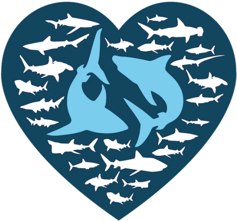 I Love Sharks Selfie Challenge Save Our Sharks Nl - Shark (476x476), Png Download