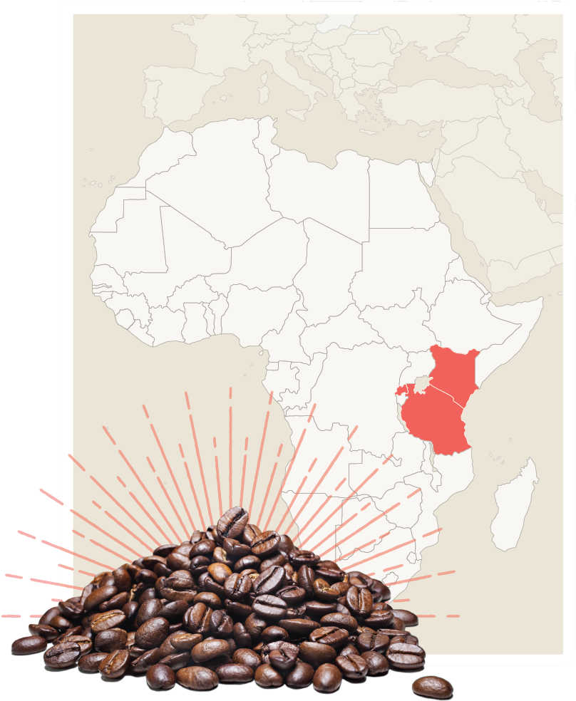 Africa Beans-07 - Portable Network Graphics (829x1007), Png Download