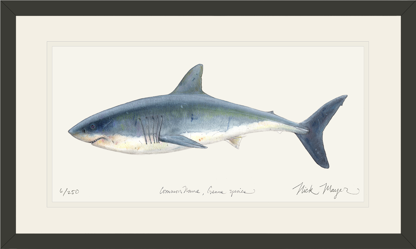 Great White Bl V=1524851151 - Great White Shark (1700x1103), Png Download
