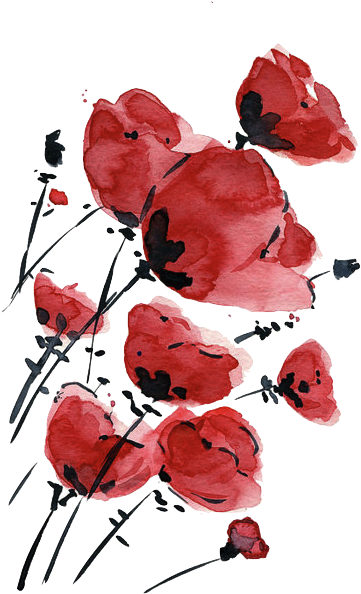 Img 5858 - Red Flowers Drawing (500x711), Png Download
