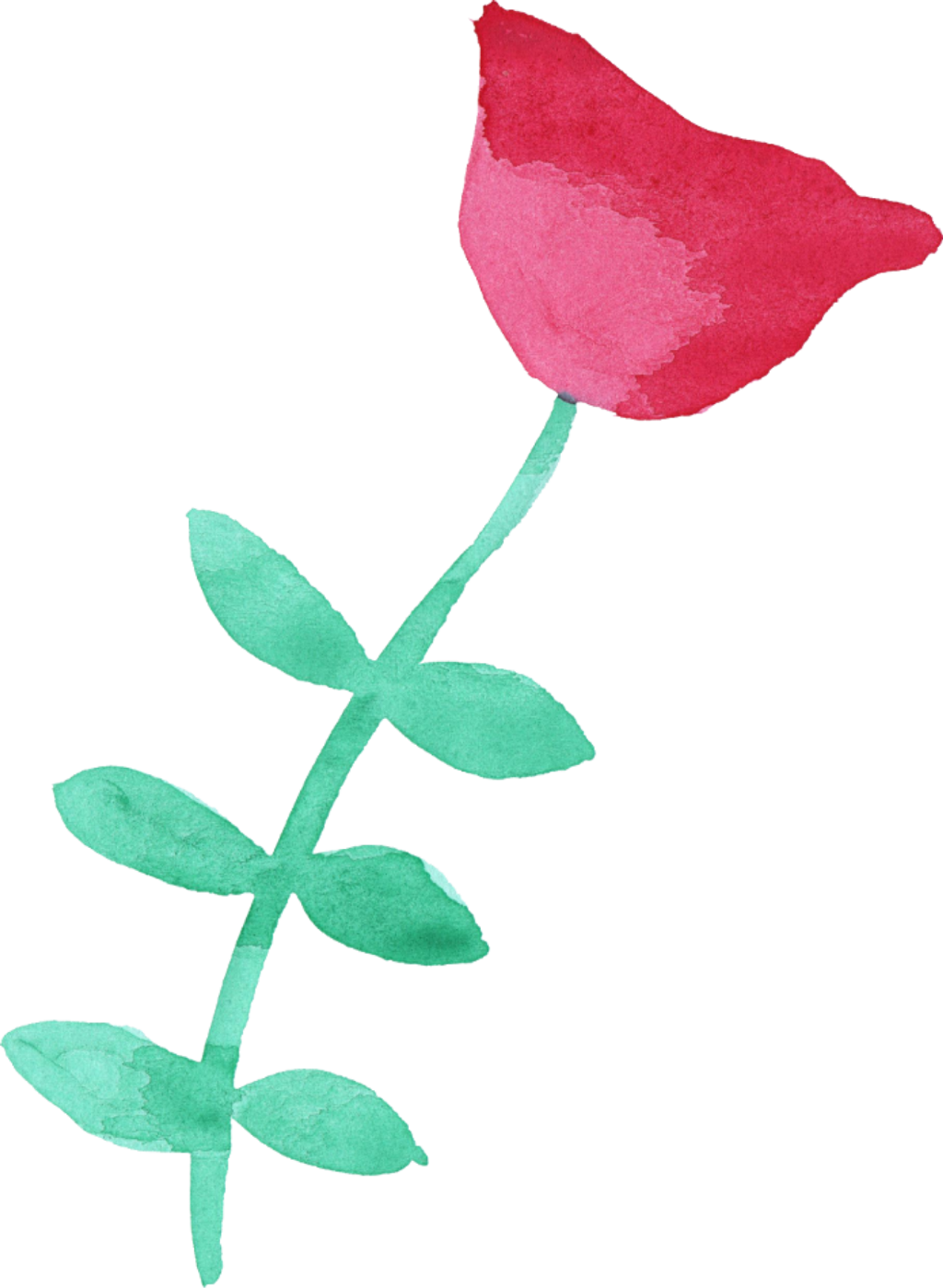 Report Abuse - Png Free Flower Watercolor (1024x1399), Png Download