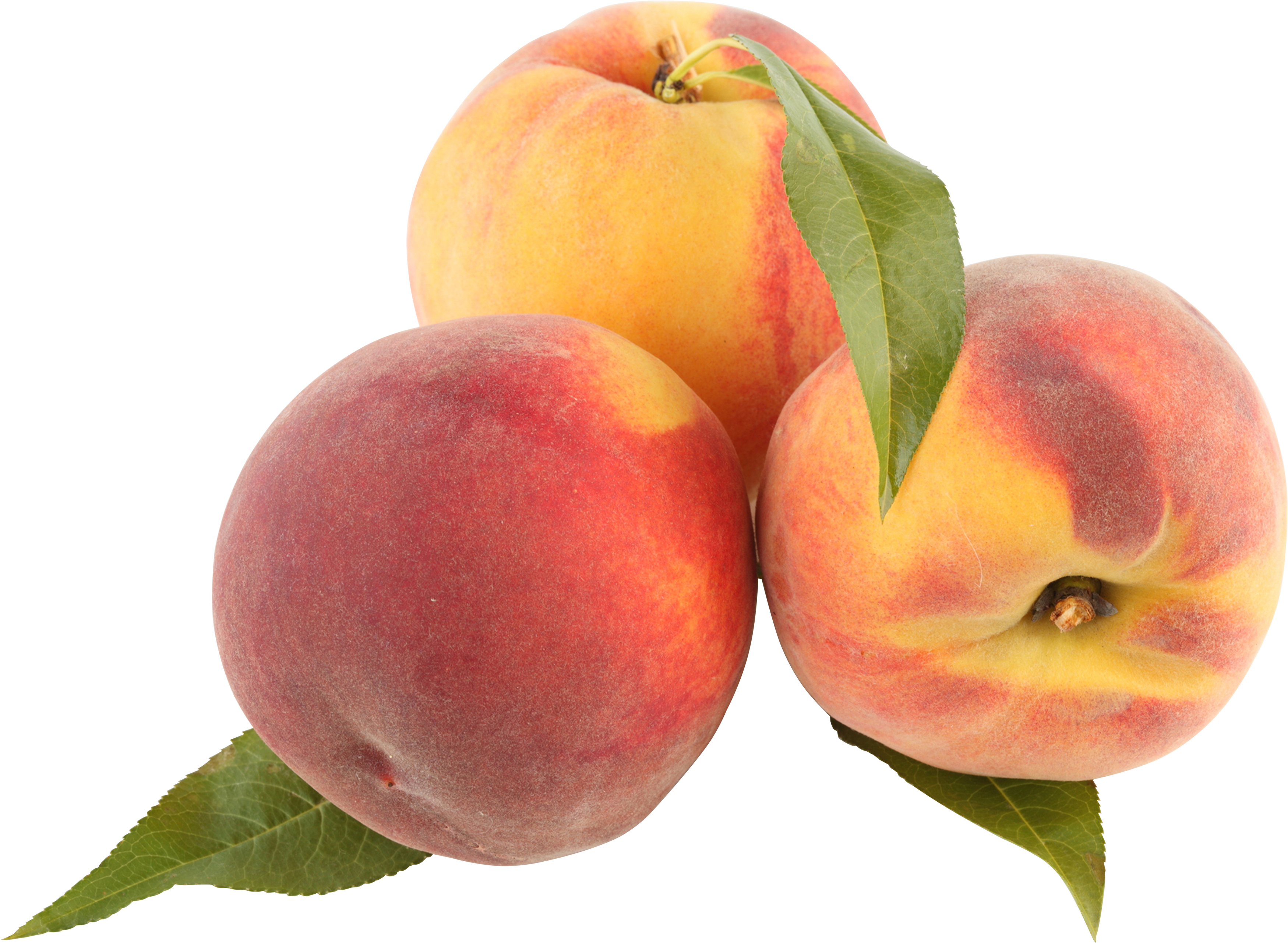 Peaches Png (3499x2563), Png Download