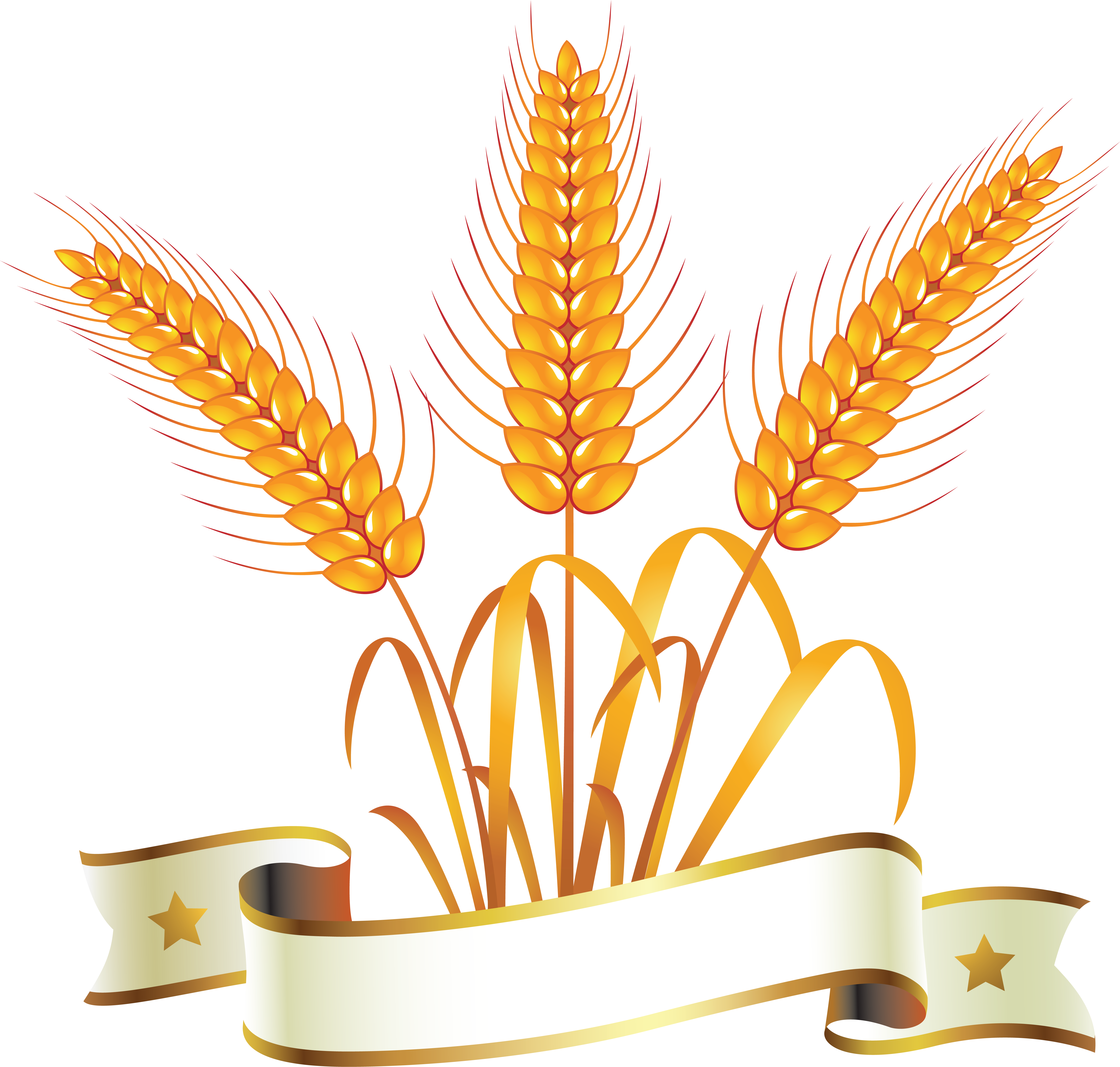 Logos Whole Grain Bread (5590x5338), Png Download