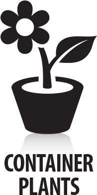 Container-plants - Illustration (585x585), Png Download