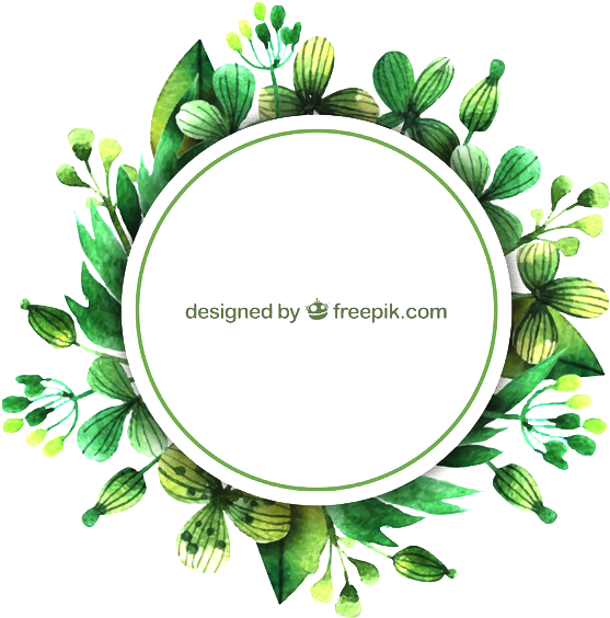 Svg Royalty Free Library Euclidean Watercolor Painting - Watercolour Gum Leaf Wreath (800x752), Png Download