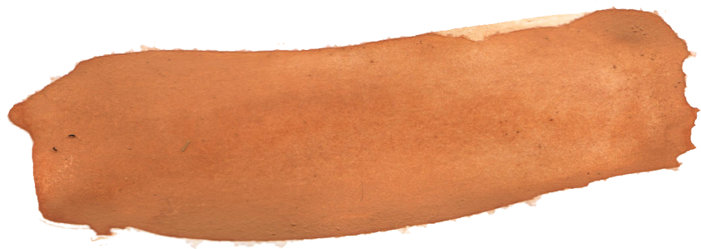 Png File Size - Brown Brush Png (1024x364), Png Download