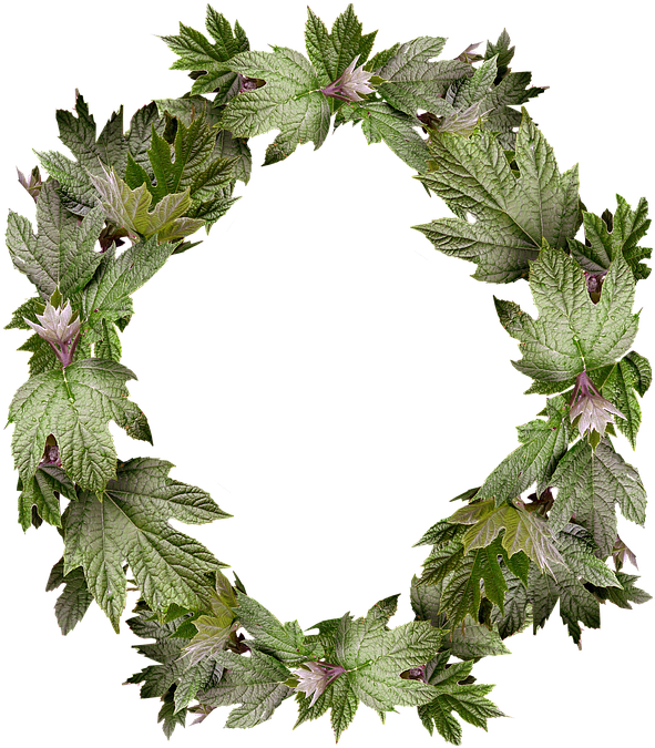 Leaves, Wreath, Frame, Border - Wreath (631x720), Png Download