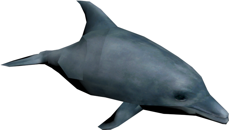 Dolphin (1280x720), Png Download