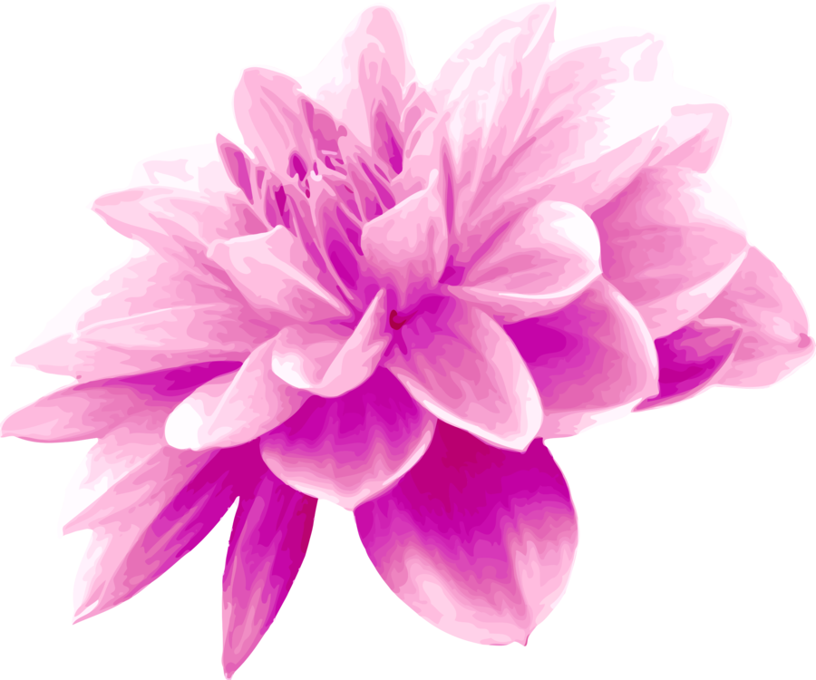 Medium Image - Purple Pink Flower Clipart (800x668), Png Download