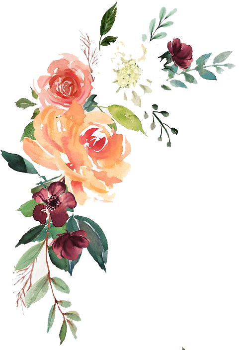 Watercolor Floral Composition Free Download - Watercolor Floral Transparent Png (568x713), Png Download