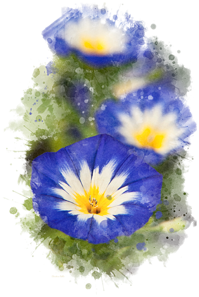 Click And Drag To Re-position The Image, If Desired - Morning Glory Png Transparent Watercolor (452x700), Png Download