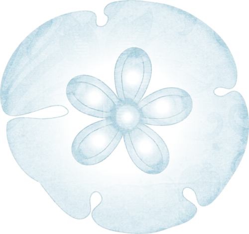 Image Free Download Sanddollar Png Paper Sets Pinterest - Sand Dollar Clipart Transparen (500x469), Png Download