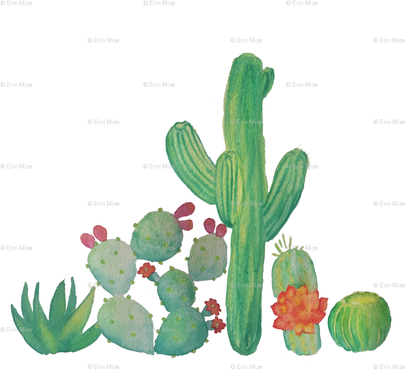 Watercolor Cacti Fabric Erinmizedesigns - Watercolor Cactus Png (825x825), Png Download