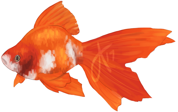 Picture Royalty Free Stock Good Better Mrmn - Fish Png (600x400), Png Download