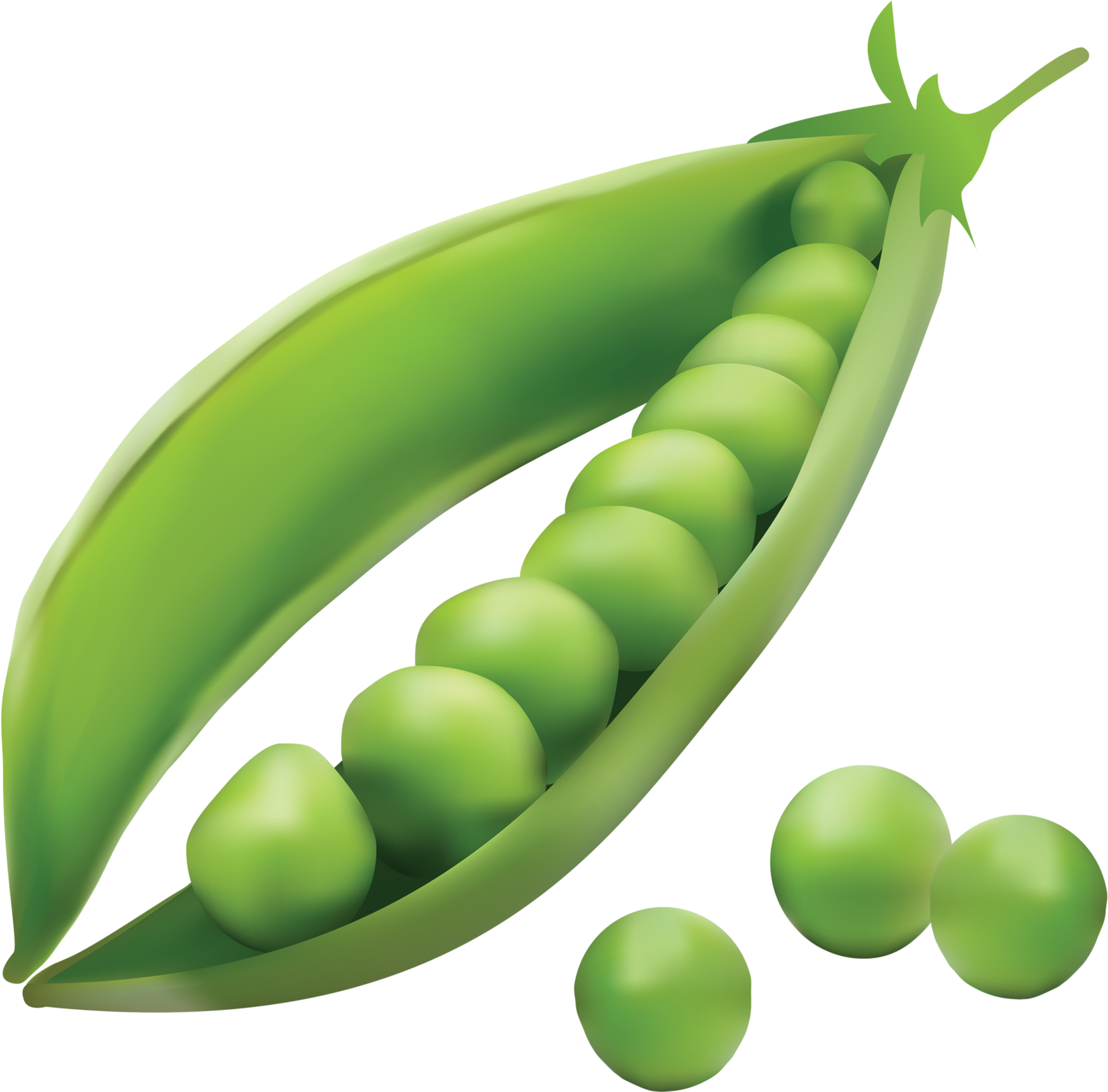 ᗷọŋ Ꭺppєtít Fruit And Veg, Fruits And Vegetables, Food - Peas Clipart .png (1600x1566), Png Download