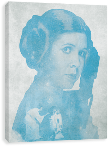 A New Hope Leia - Star Wars Princess Leia May The Force (500x500), Png Download