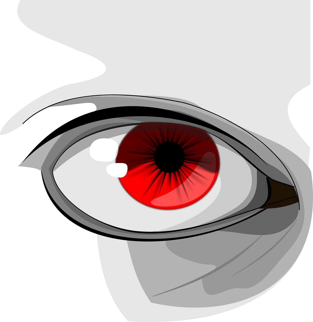 Eyes, Red, Human, Organ, Macro, Pupil, Black, Eyelid - Eye Clip Art (700x720), Png Download