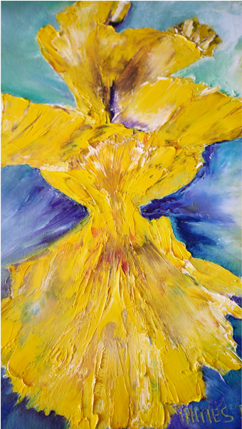 Yellow Iris (600x600), Png Download