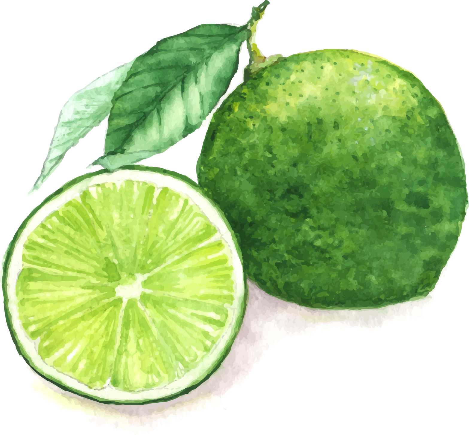 Juice Lemon Watercolor Painting Lime (1567x1452), Png Download
