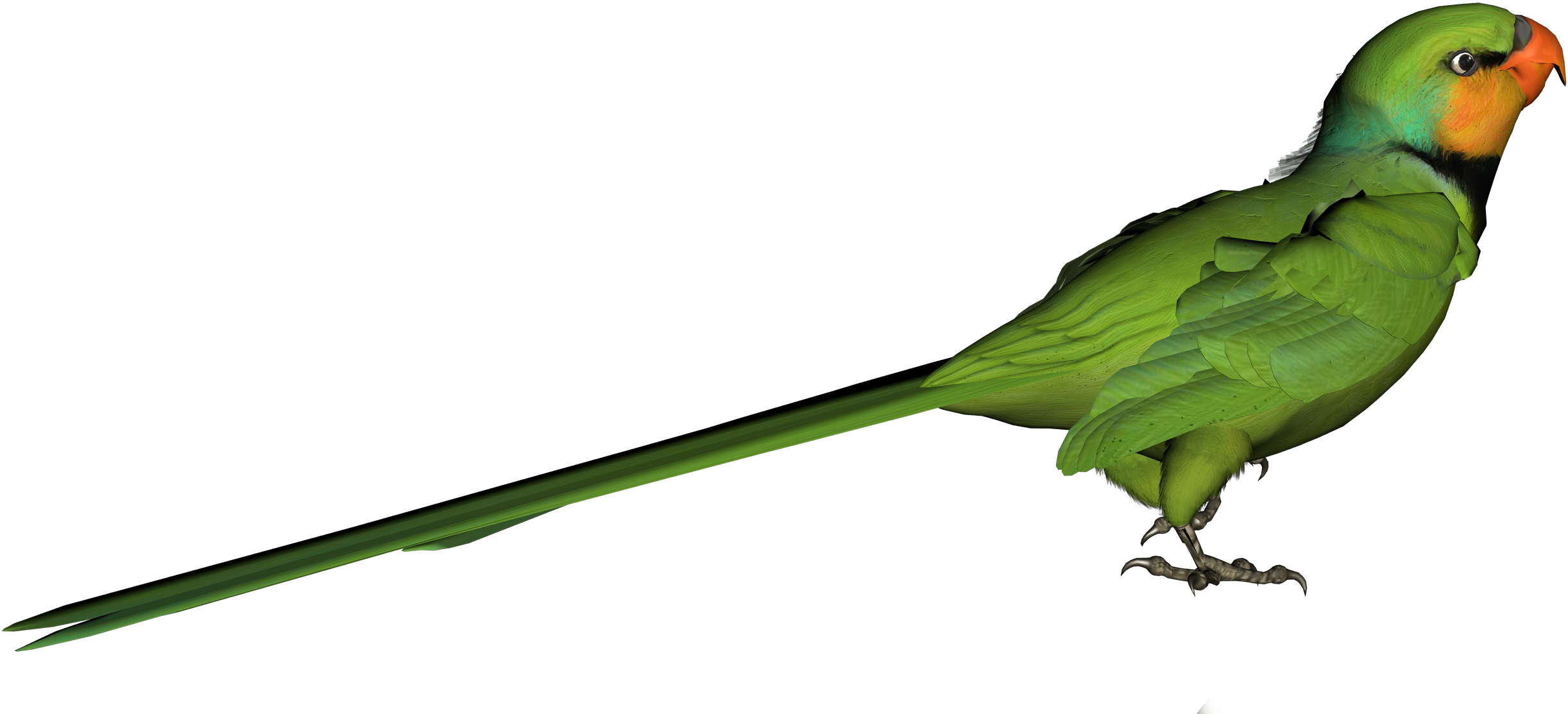 Clip Art (2483x1184), Png Download