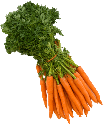 Carrots Png Bunch Clip Art Transparent Library - Carrot (600x600), Png Download