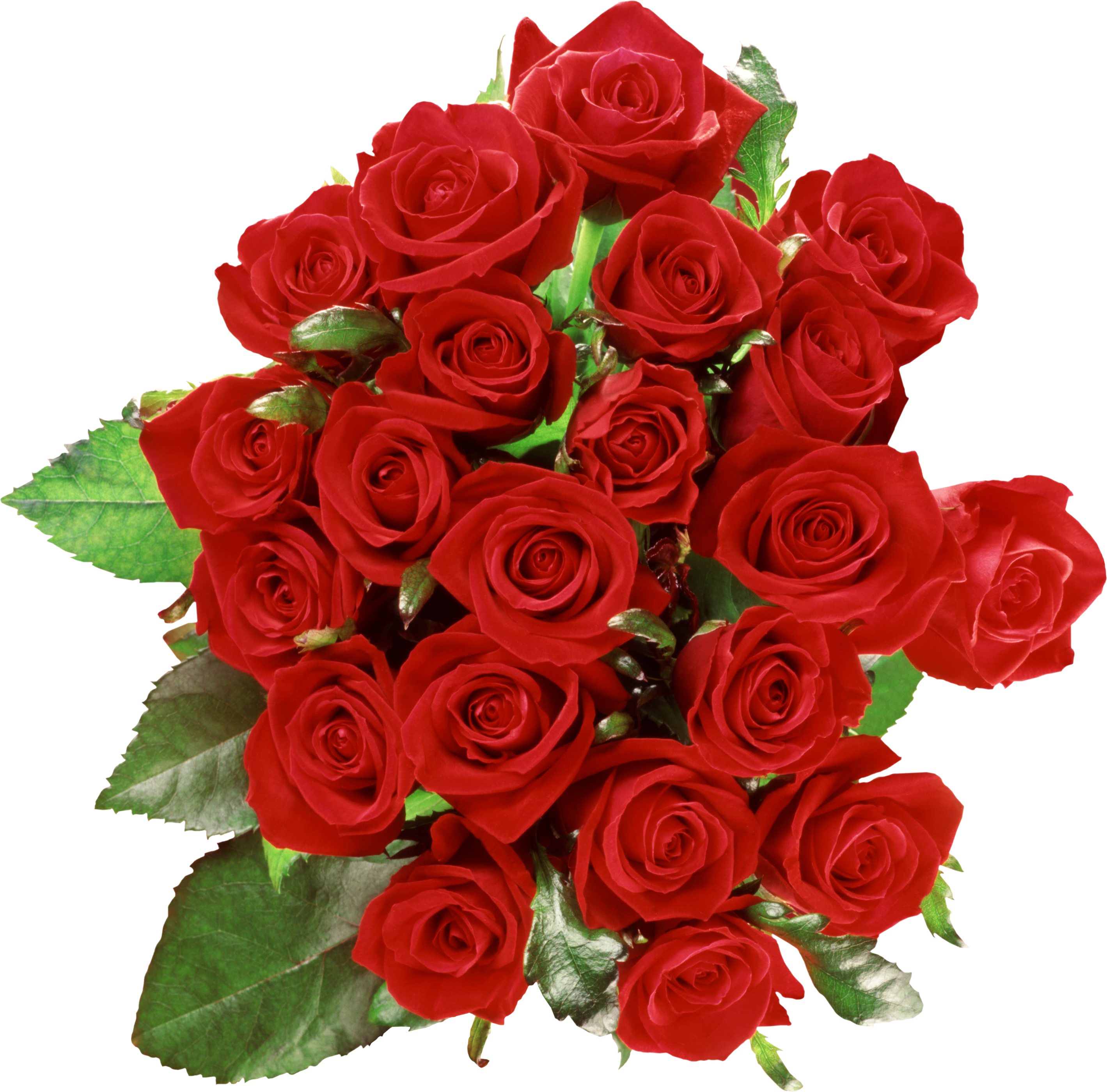 Red Rose Clipart Colourful Flower - Bouquet Of Roses Transparent (2838x2800), Png Download