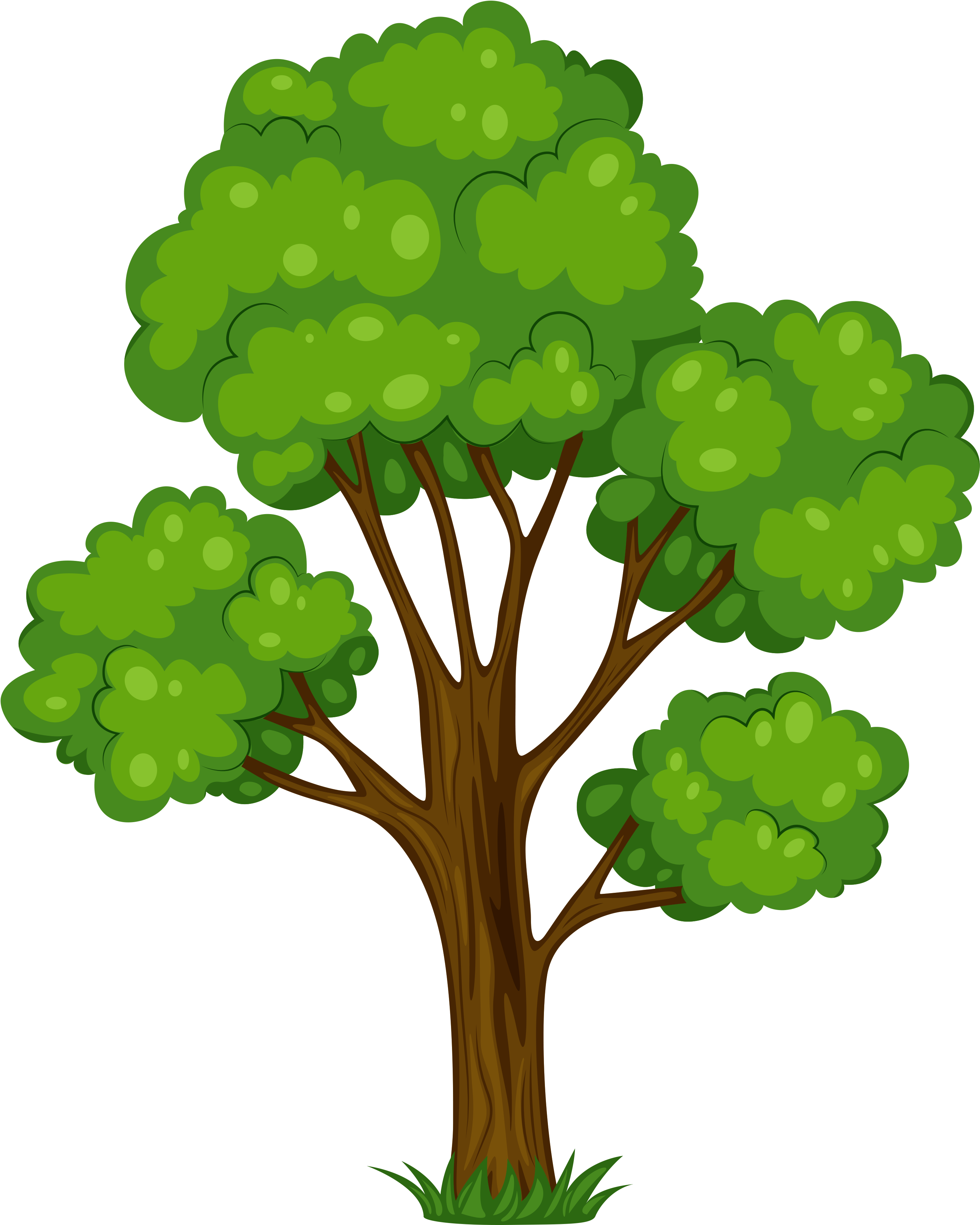 Apple Tree Clipart - Tree Clipart Png (3126x3842), Png Download