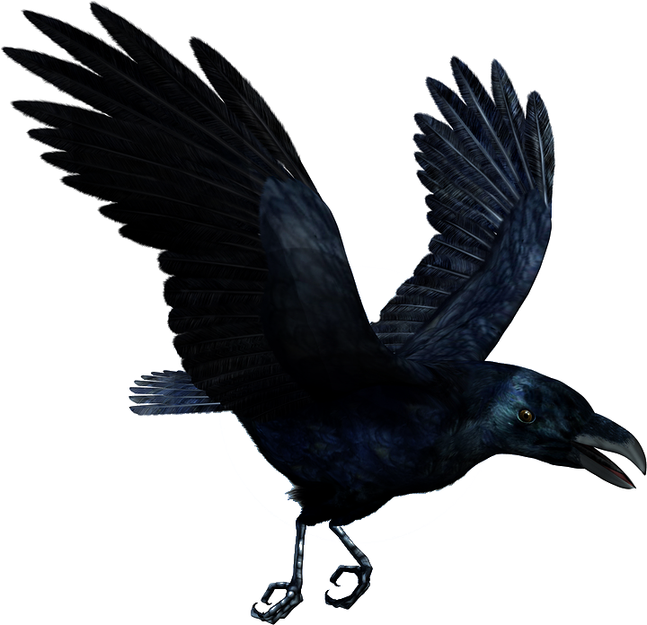 Raven Flying Png Hd - Crows Wall Mural (900x861), Png Download