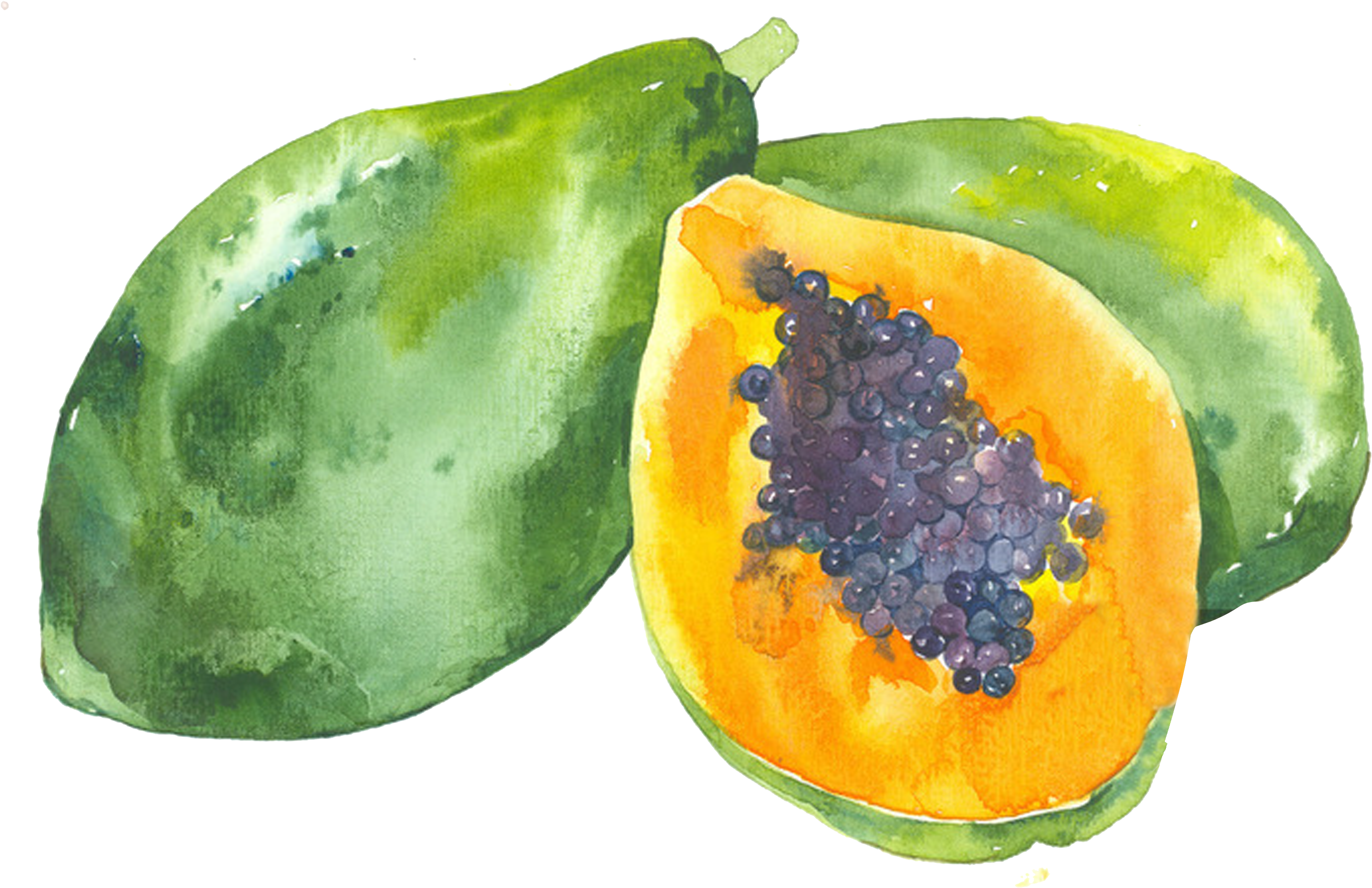 Watercolor Painting Illustration Transprent - 素材 卡通 果汁 (3242x2000), Png Download