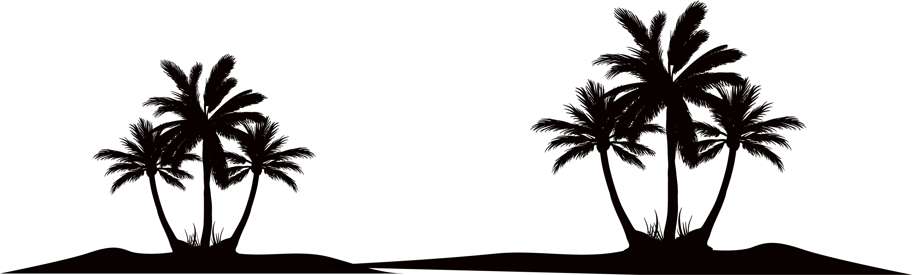 Silhouette Of Coconut Tree - Relax: Stop Being Busy, Take A Break (3528x1198), Png Download