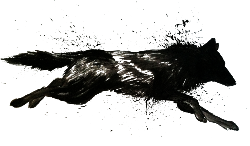 Black Wolf Running - Black Wolf Png (1024x583), Png Download