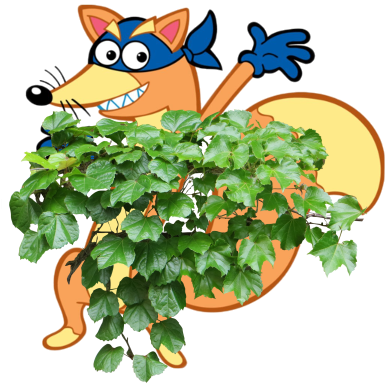 Swiper-ivy - Zorro Dora La Exploradora (400x400), Png Download