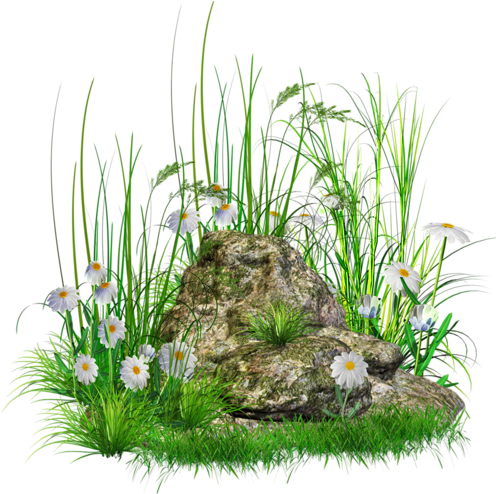 Stone With Grass And Flowers Png Clipart - Grass And Stone Png (505x527), Png Download