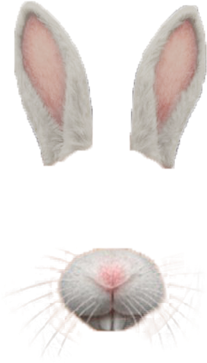41 Images About Snapchat Filter Png On We Heart It - Snapchat Transparent Png Overlay (422x666), Png Download