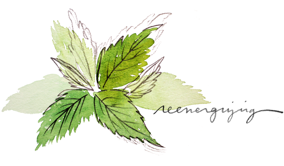 Peppermint (1000x667), Png Download