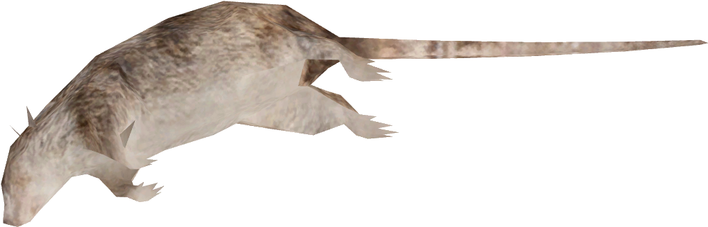 Dead Rat Enrichment - Rat (1040x1040), Png Download