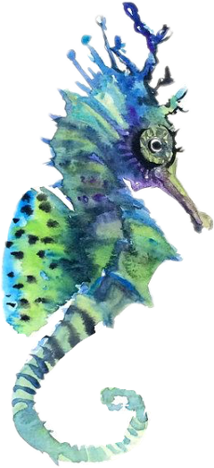 More - Watercolor Painting (240x523), Png Download