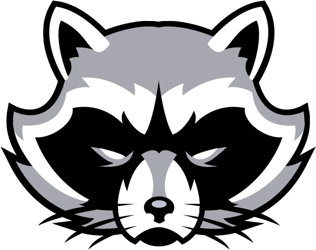 Raccoon Logo Png - Raccoon Drawing (639x505), Png Download