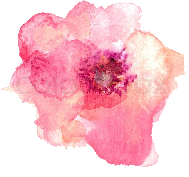 Picture - Pink Watercolor Background Flower (800x777), Png Download