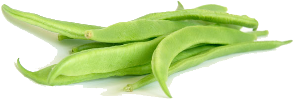 Green Beans Png Clipart - Flat Beans Png (615x410), Png Download