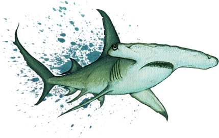 Click And Drag To Re-position The Image, If Desired - Watercolor Painting (452x700), Png Download