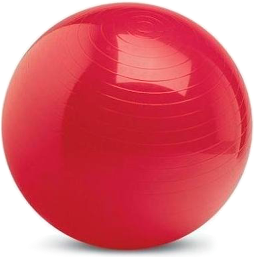 Venta De Pelota Para Rehabilitacion Fisica De 75cm - Gym Ball - 120cm (47.5") Diameter (600x600), Png Download